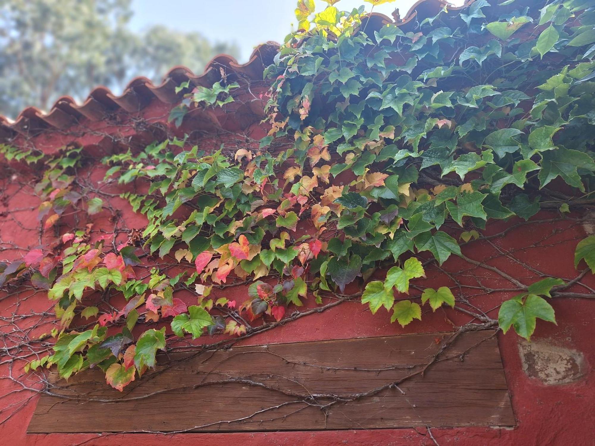 Casa Rural Con Piscina Privada El Roble Мойя Экстерьер фото