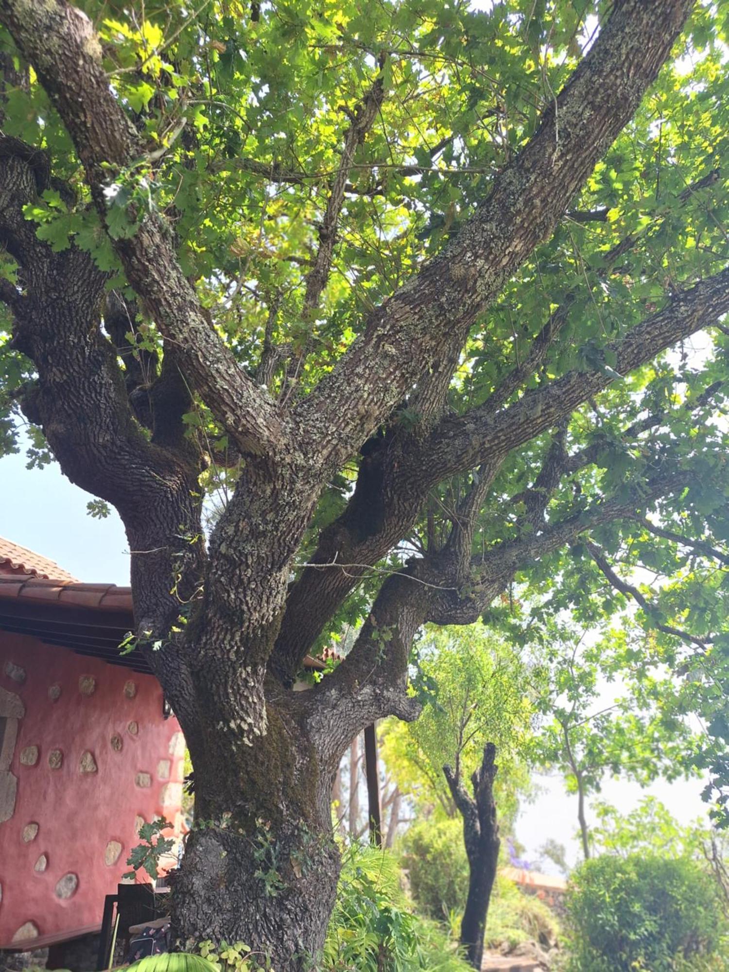 Casa Rural Con Piscina Privada El Roble Мойя Экстерьер фото