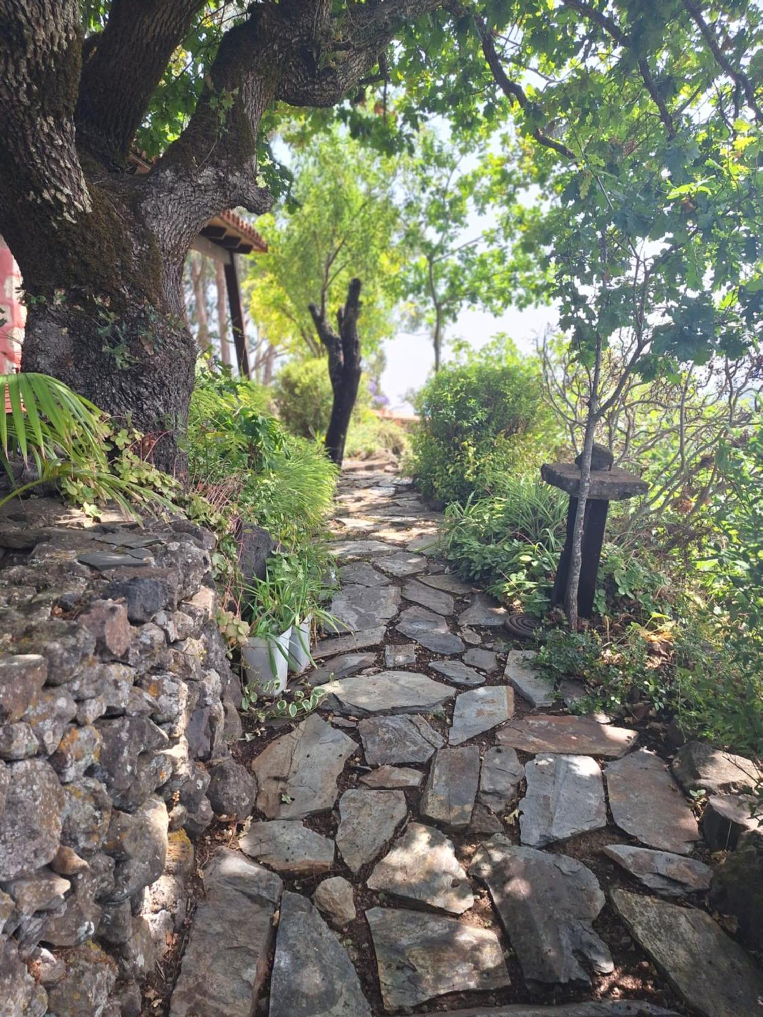 Casa Rural Con Piscina Privada El Roble Мойя Экстерьер фото