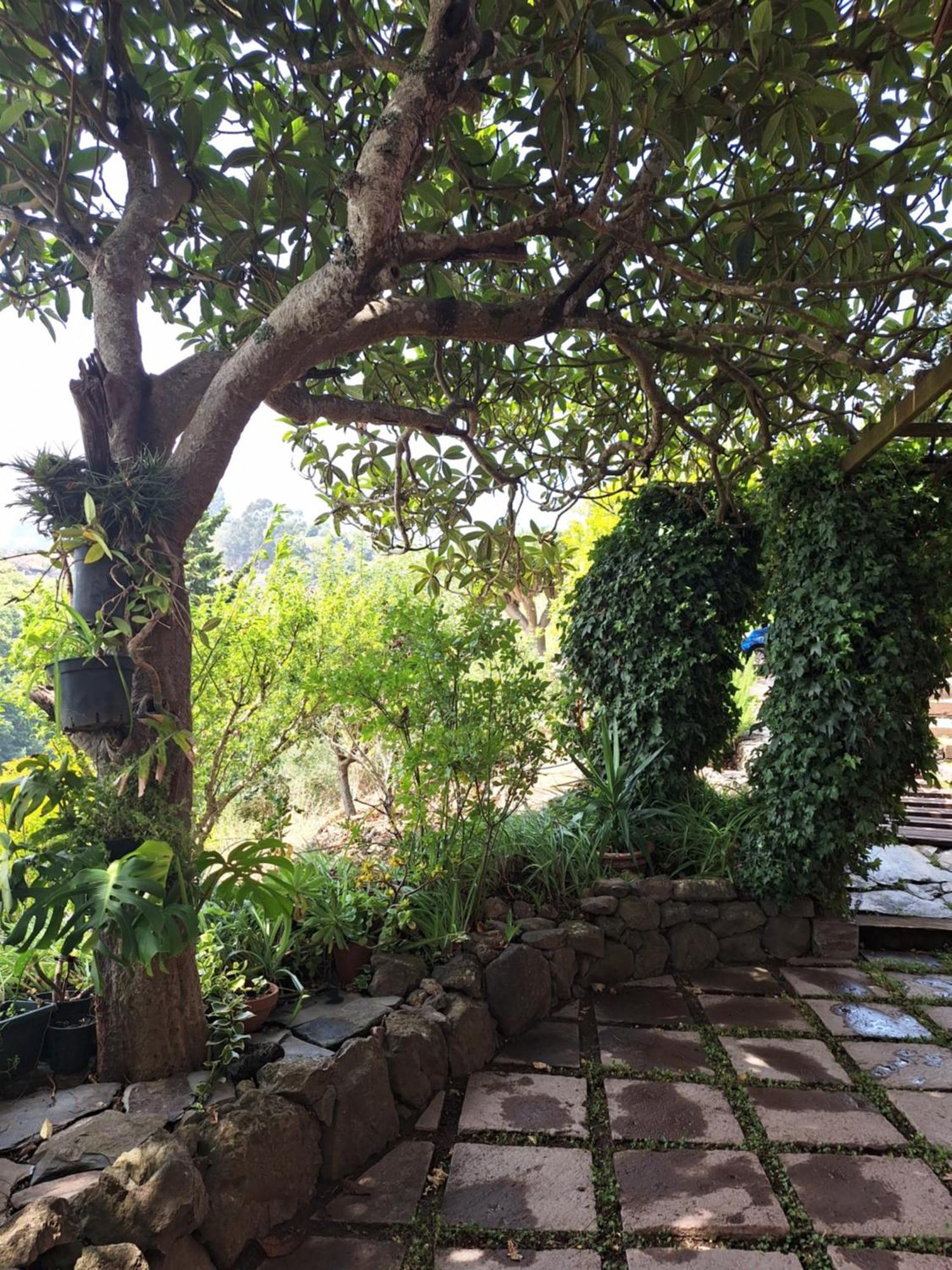 Casa Rural Con Piscina Privada El Roble Мойя Экстерьер фото